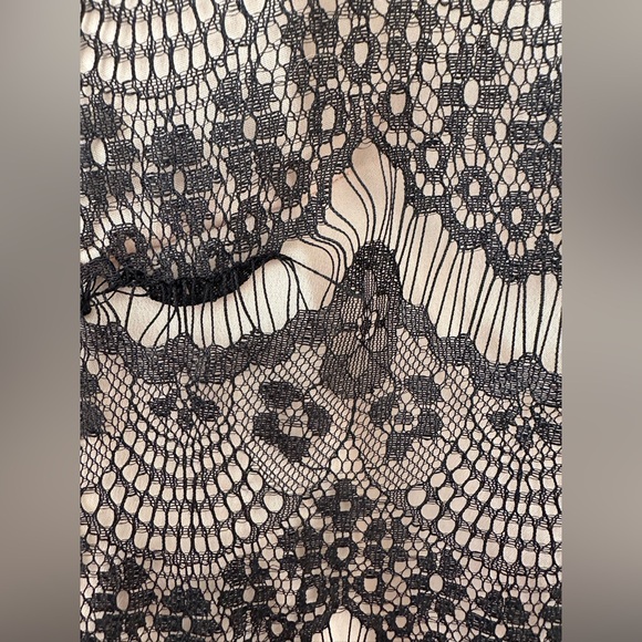 A’REVE Anthropologie Lace Short Sleeve Peter Pan Collar Mini Dress Size Small - Picture 6 of 9